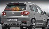 Спойлер на 5-ю дверь Charactere Volkswagen TIGUAN