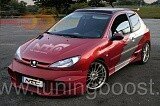 Накладки на пороги NTC Peugeot 206 (1998-2010)